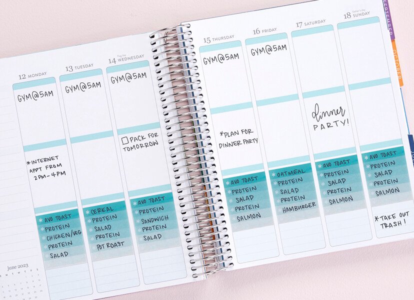 Overhead view of vertical daily LifePlanner layout